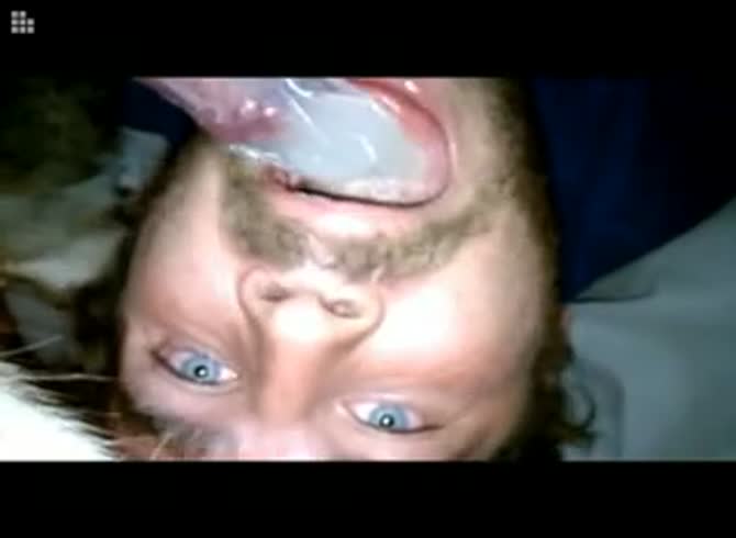 Video :Gay sucking dog dick until animal orgasm